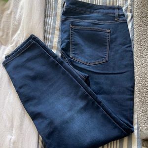 Maurices Jeans 18W Reg
